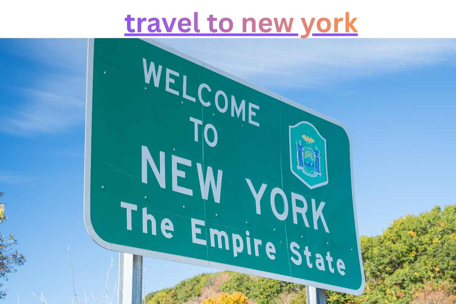 travel to new york​